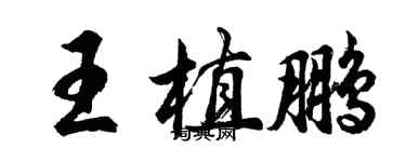 胡問遂王植鵬行書個性簽名怎么寫