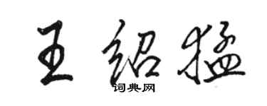 駱恆光王紹猛行書個性簽名怎么寫