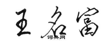 駱恆光王名富行書個性簽名怎么寫