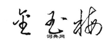 駱恆光金玉梅草書個性簽名怎么寫