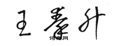 駱恆光王秦升草書個性簽名怎么寫