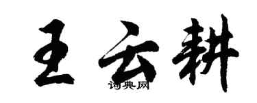 胡問遂王雲耕行書個性簽名怎么寫