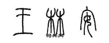 陳墨王林安篆書個性簽名怎么寫