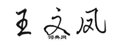 駱恆光王文鳳行書個性簽名怎么寫