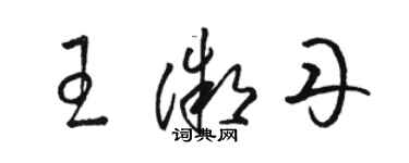 駱恆光王微丹草書個性簽名怎么寫