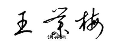 梁錦英王業梅草書個性簽名怎么寫