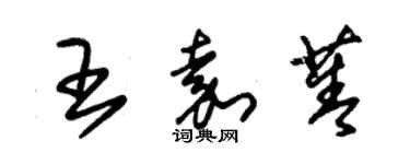 朱錫榮王嘉菁草書個性簽名怎么寫