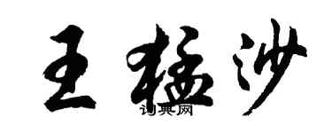 胡問遂王猛沙行書個性簽名怎么寫