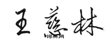 駱恆光王慈林行書個性簽名怎么寫