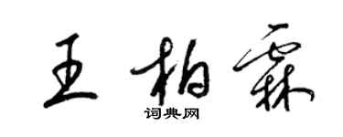 梁錦英王柏霖草書個性簽名怎么寫