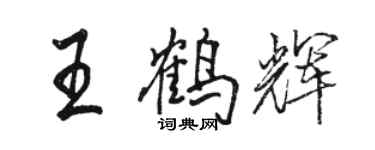 駱恆光王鶴輝行書個性簽名怎么寫