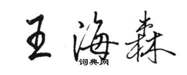 駱恆光王海森行書個性簽名怎么寫