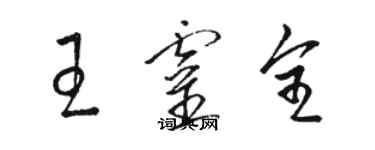 駱恆光王靈全草書個性簽名怎么寫