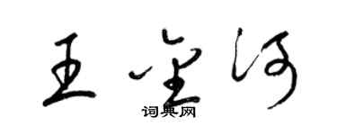 梁錦英王金河草書個性簽名怎么寫