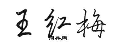 駱恆光王紅梅行書個性簽名怎么寫