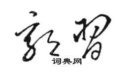 駱恆光郭習草書個性簽名怎么寫