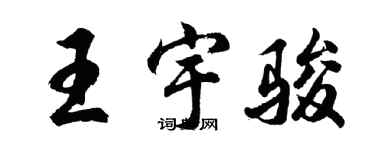 胡問遂王宇駿行書個性簽名怎么寫