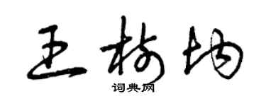 曾慶福王樹均草書個性簽名怎么寫