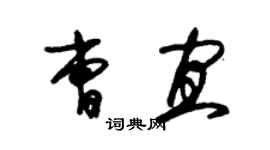 朱錫榮曹宜草書個性簽名怎么寫