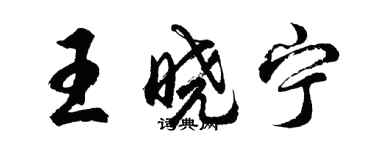 胡問遂王曉寧行書個性簽名怎么寫