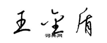 梁錦英王金盾草書個性簽名怎么寫