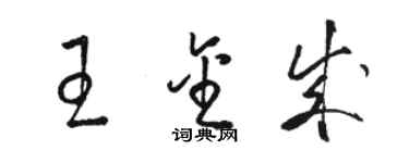 駱恆光王金成草書個性簽名怎么寫