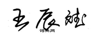 朱錫榮王辰斌草書個性簽名怎么寫