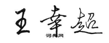 駱恆光王幸超行書個性簽名怎么寫