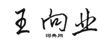 駱恆光王向業行書個性簽名怎么寫