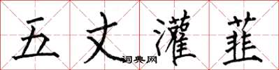 何伯昌五丈灌韮楷書怎么寫