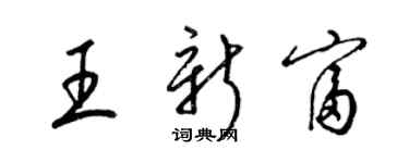 梁錦英王新富草書個性簽名怎么寫