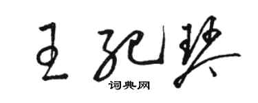 駱恆光王紀琴草書個性簽名怎么寫