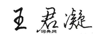 駱恆光王君凝行書個性簽名怎么寫