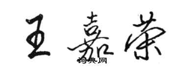 駱恆光王嘉榮行書個性簽名怎么寫