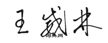 駱恆光王威林草書個性簽名怎么寫