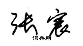 朱錫榮張宸草書個性簽名怎么寫