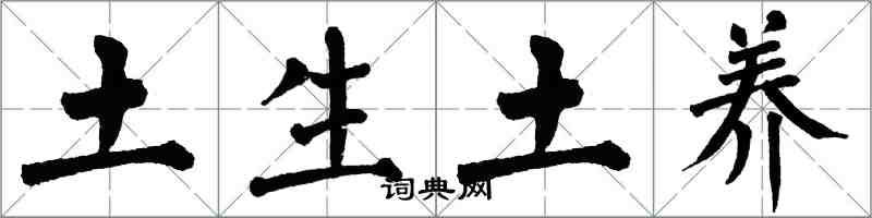 翁闓運土生土養楷書怎么寫