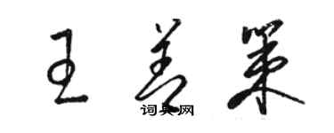 駱恆光王善策草書個性簽名怎么寫