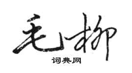 駱恆光毛柳行書個性簽名怎么寫