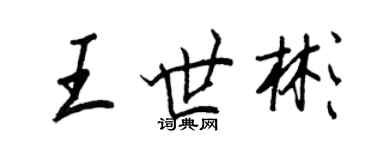 王正良王世彬行書個性簽名怎么寫