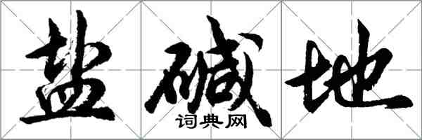 胡問遂鹽鹼地行書怎么寫