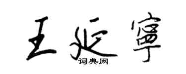 王正良王延寧行書個性簽名怎么寫