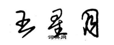 朱錫榮王星月草書個性簽名怎么寫