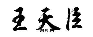 胡問遂王天臣行書個性簽名怎么寫