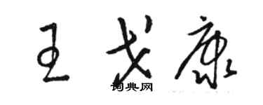 駱恆光王戈康草書個性簽名怎么寫