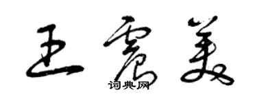 曾慶福王震美草書個性簽名怎么寫