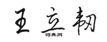 駱恆光王立韌行書個性簽名怎么寫