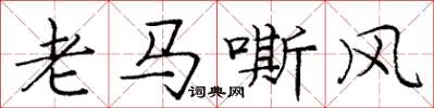 龐中華老馬嘶風楷書怎么寫