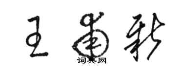 駱恆光王甫新草書個性簽名怎么寫