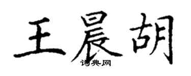 丁謙王晨胡楷書個性簽名怎么寫